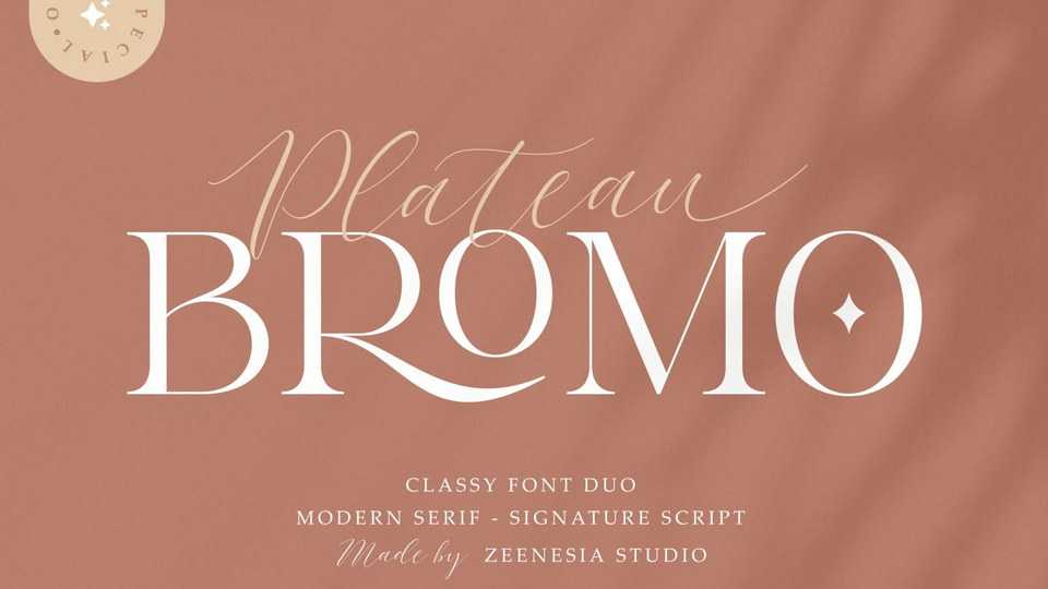 Bromo Plateau Font Duo › Fontesk