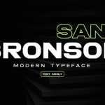 Bronson Sans Font › Fontesk