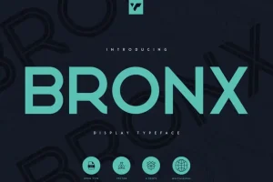 Bronx - Sans Serif Font