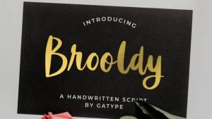 Brooldy Font › Fontesk