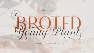 Broted Young Plant Font Duo › Fontesk