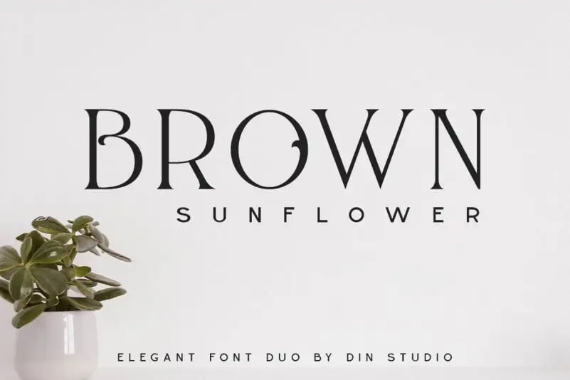 Brown Sunflower Display Font