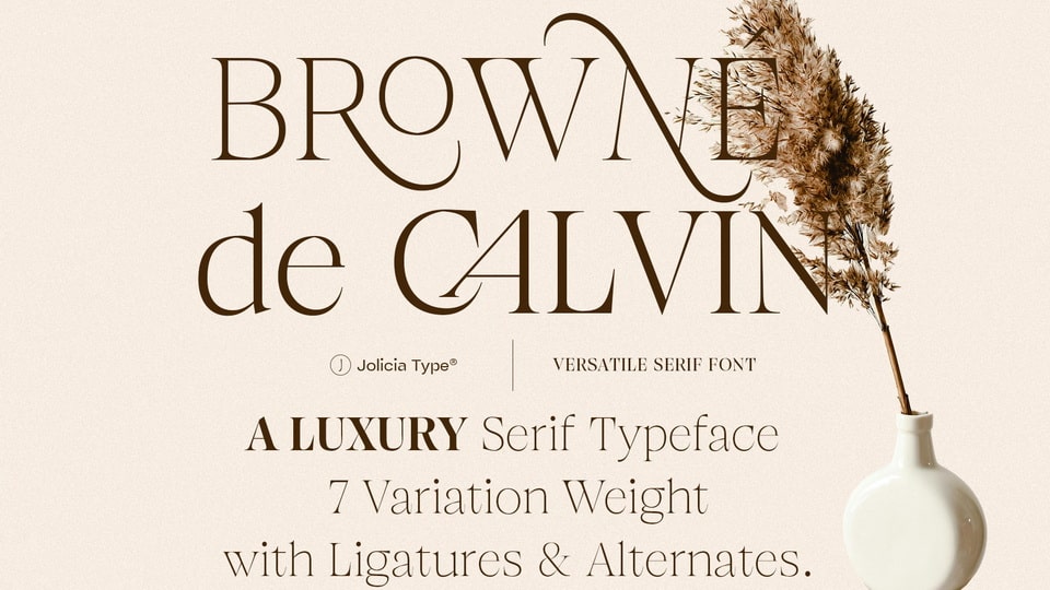 Browne de Calvin Font › Fontesk