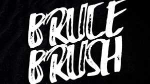 Bruce Brush Font › Fontesk