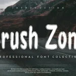 Brush Zone Brush Font
