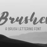 Brushes Brush Font