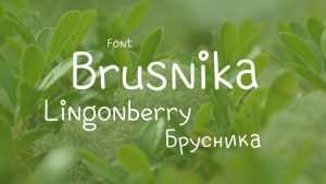 Brusnika Font › Fontesk