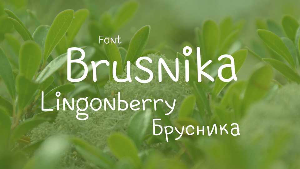 Brusnika Font › Fontesk
