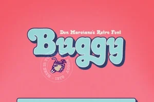 Buggy Display Font