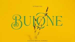 Bulone Font › Fontesk