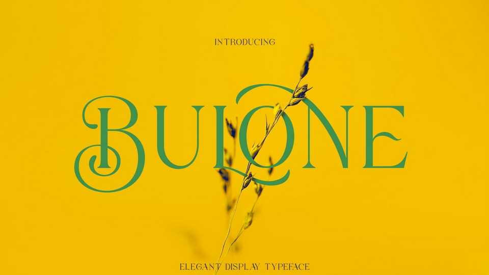Bulone Font › Fontesk