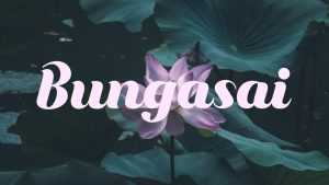 Bungasai Script › Fontesk