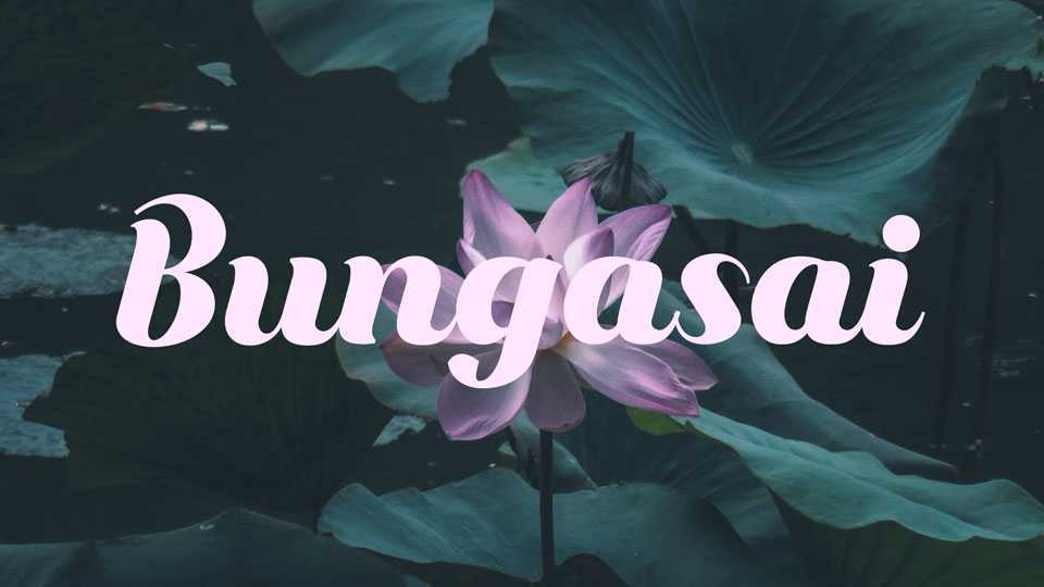Bungasai Script › Fontesk