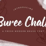 Buree Chalk Brush Font