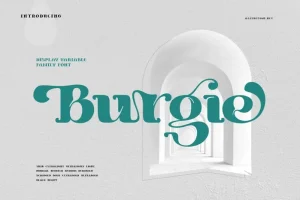 Burgie Black Serif Font