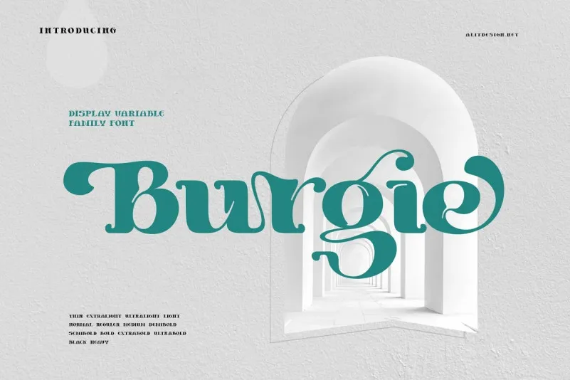 Burgie Black Serif Font