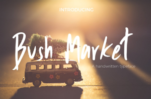 Bush Market Script Font