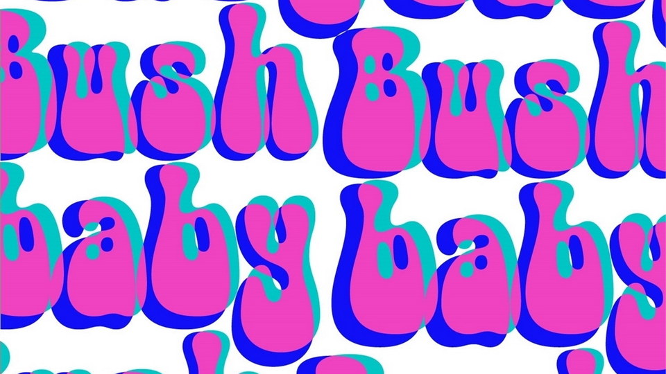 Bushbaby Font › Fontesk