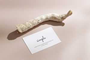Business card with dried plant mockup
