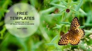 Butterfly on Flower-Nature PowerPoint Templates