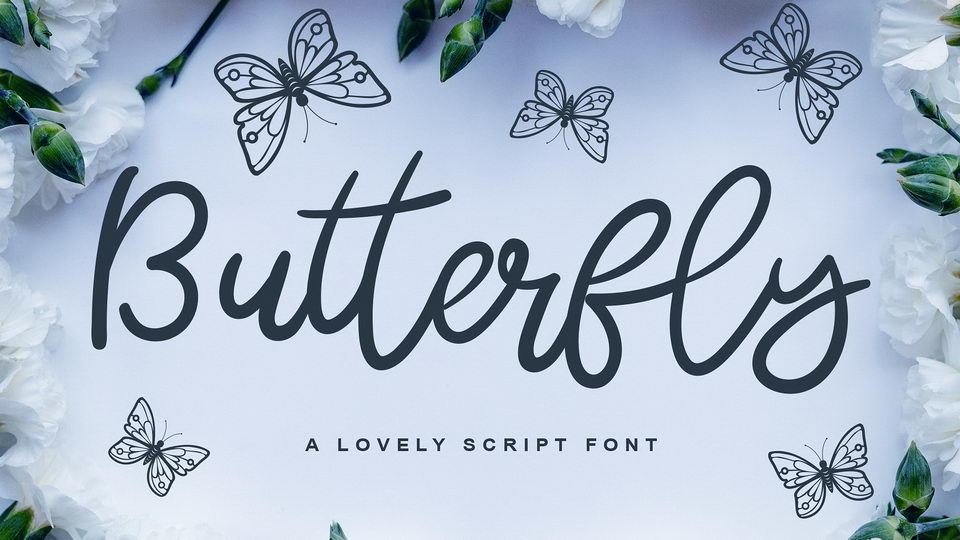 Butterfly Script Font › Fontesk