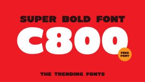 C800 Font › Fontesk