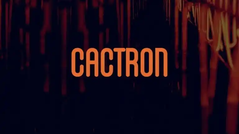 Cactron Sans Serif Font
