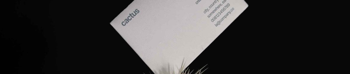 Cactus Business Card Mockup
