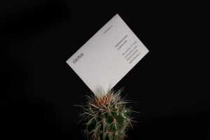 Cactus Business Card Mockup