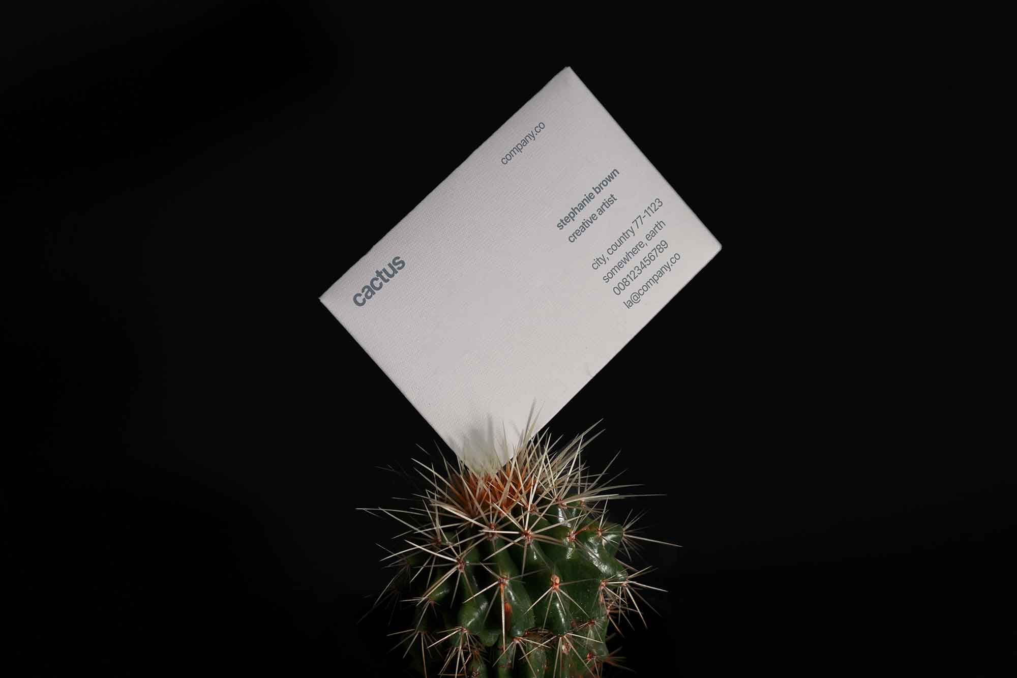 Cactus Business Card Mockup