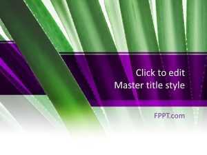 Cactus Plant PowerPoint Template