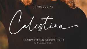 Calestina Font › Fontesk
