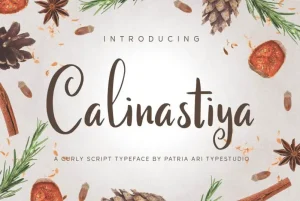 Calinastiya Script Font