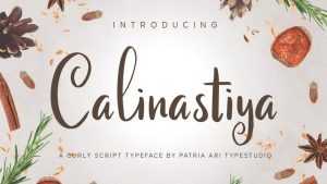 Calinastiya Script Font › Fontesk