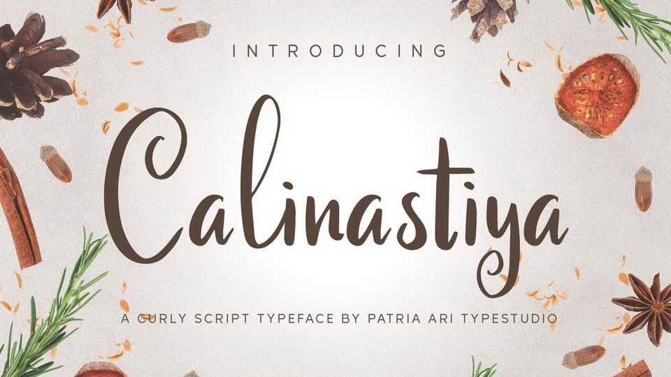 Calinastiya Script Font › Fontesk
