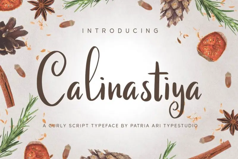 Calinastiya Script Font