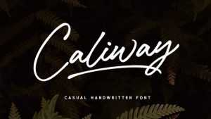 Caliway Script Font › Fontesk