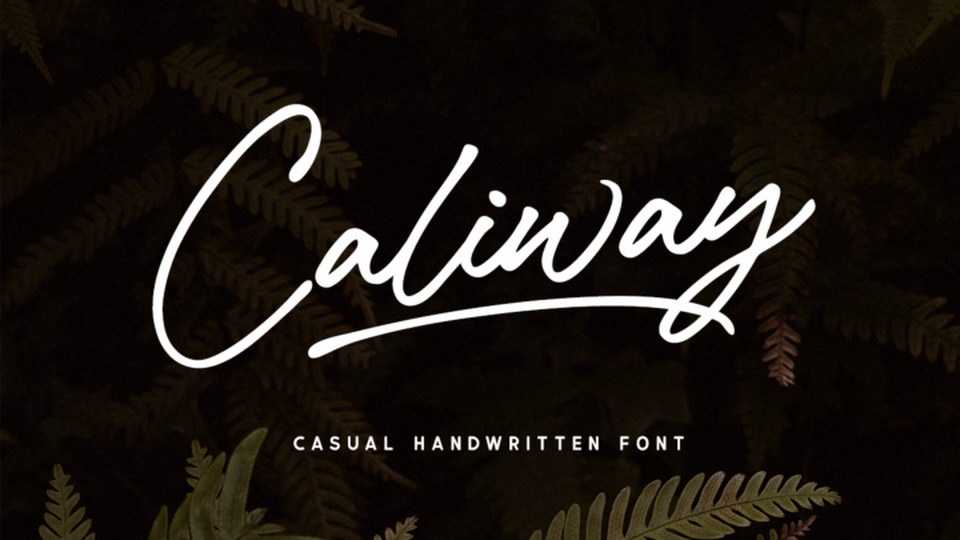 Caliway Script Font › Fontesk