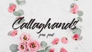 Callaghands Script Font › Fontesk