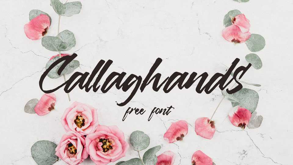 Callaghands Script Font › Fontesk