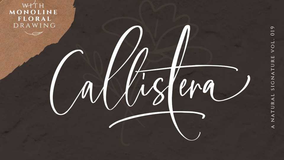 Callistera Script Font › Fontesk