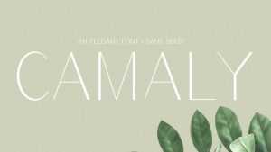 Camaly Font › Fontesk