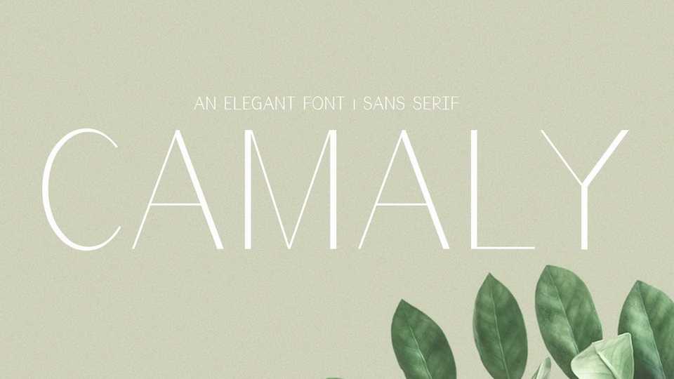 Camaly Font › Fontesk
