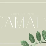 Camaly Sans Serif Font