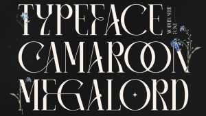 Camaroon Megalord Font › Fontesk