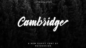Cambridge Script Font › Fontesk