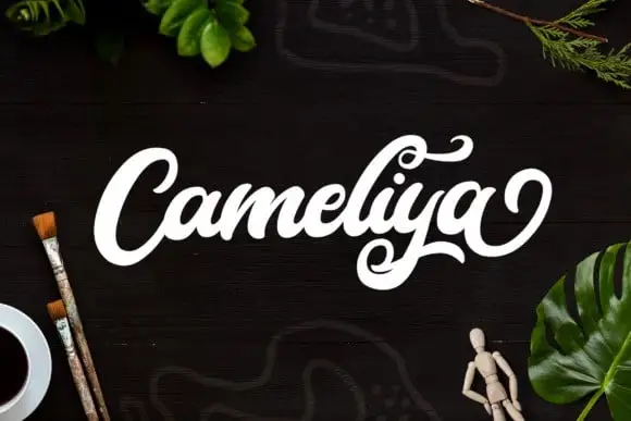 Cameliya Script Font