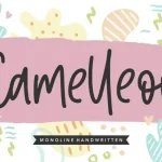 Camelleon Monoline Handwritten Font