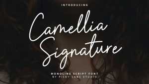 Camellia Signature Font › Fontesk