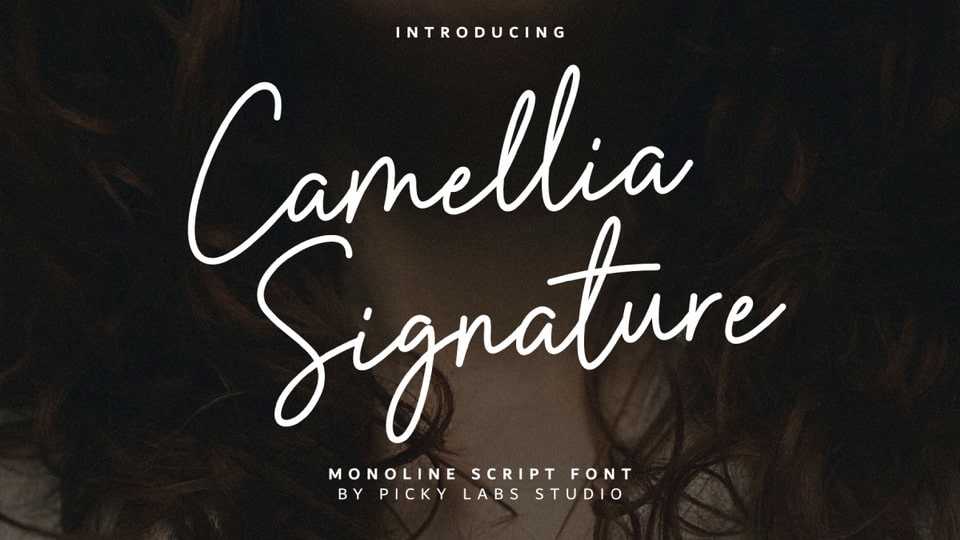Camellia Signature Font › Fontesk